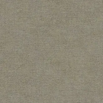 Canvas 313555