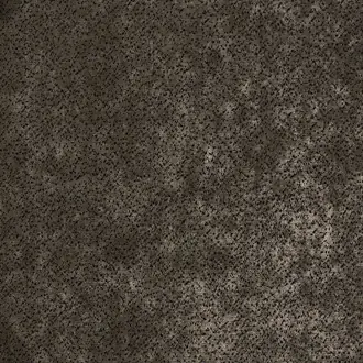 Velours Dalmatien 10565_73