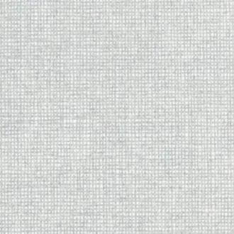 Canvas 10171
