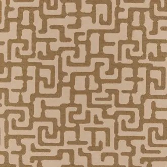 Moremi Desert