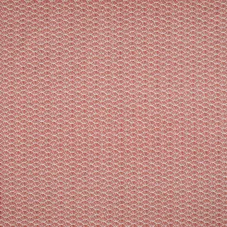 Tatami BCIA/TATAMCHR