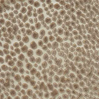 Velours Fakir 10570_02