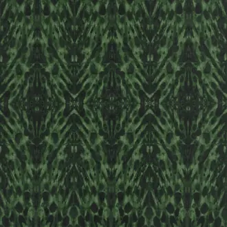 Tortoiseshell W01067-04