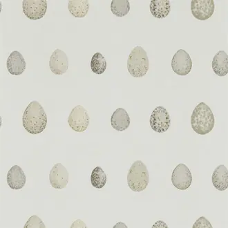 Nest Egg 216503