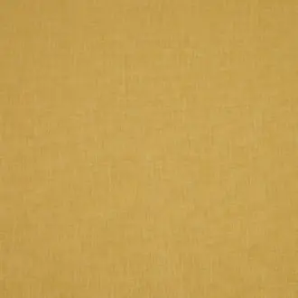 Asana Gold