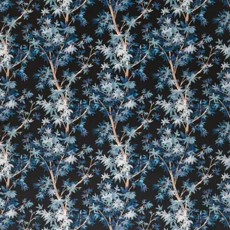 Aspen Midnight