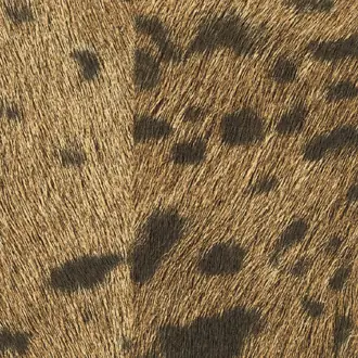 Panthere VP 653 07