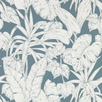 Parlour Palm 112023