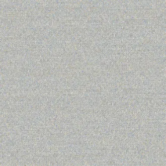 Menthe a leau 19644551