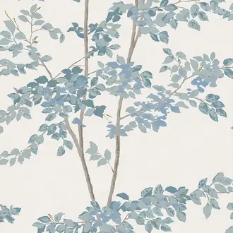 Beech Bluegrass Wallpaper