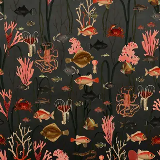 Aquatic Life R17143