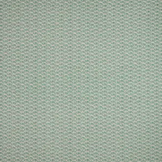 Tatami BCIA/TATAMEVE