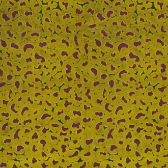 Petal Dust JT014044-005