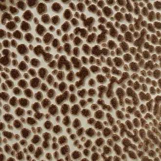 Velours Fakir 10570_14