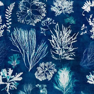 Algae Navy Blue WP20297