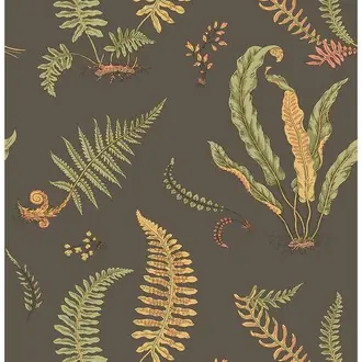 Ferns BW45122-5