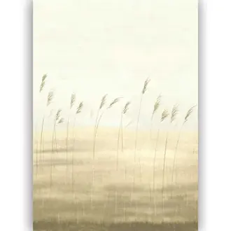 Jonc Des Dunes 200082703