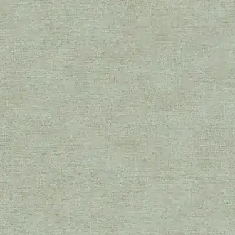 Canvas 313557