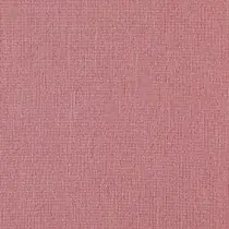 Ashcombe 62 Rose