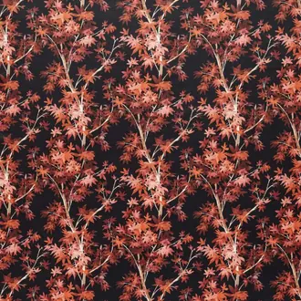 Aspen Scarlet