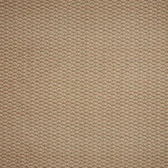 Tatami BCIA/TATAMKOI