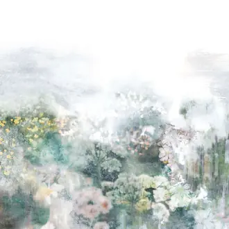 Wander W631-01