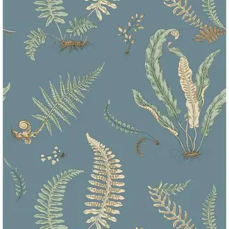 Ferns BW45122-3