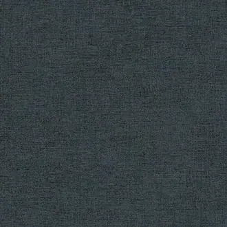 Canvas 313558
