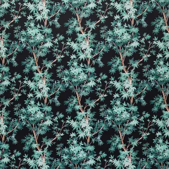 Aspen Teal