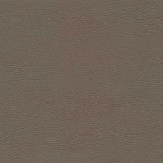 Parotega Nf 5132-77