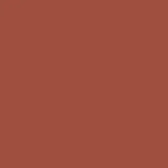 Koi Carp Paint