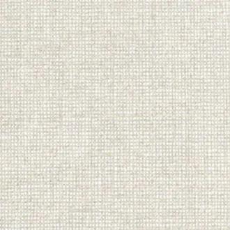 Canvas 10173