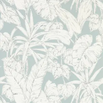 Parlour Palm 112025
