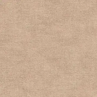 Canvas 313559