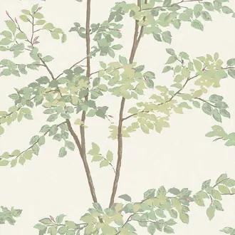 Beech Document Green Wallpaper