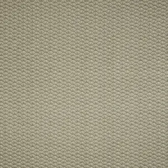 Tatami BCIA/TATAMOLI