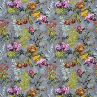 Tulipani FDG2356-01