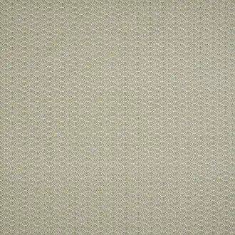 Tatami BCIA/TATAMOYS