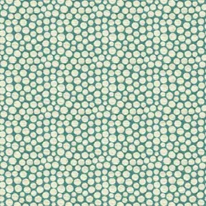 Cilia PF50388-615