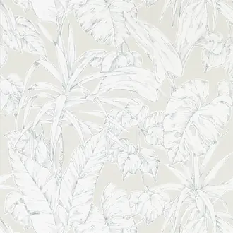 Parlour Palm 112026