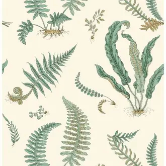 Ferns BW45122-4