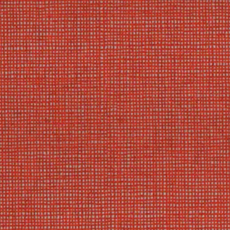 Canvas 10176