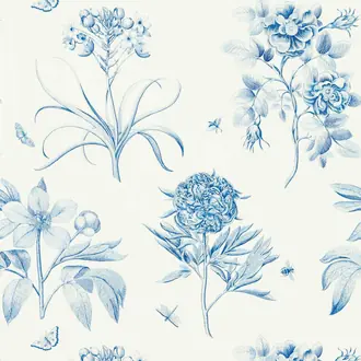 Etchings & Roses 217052