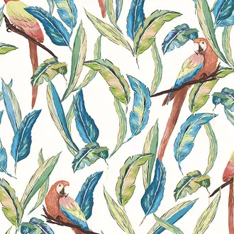 Tropical Parrot WLD53116W