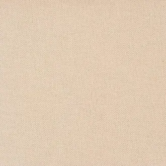 Salsa Beige2 D1038 12 14