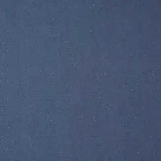 Leon Wide Width Navy