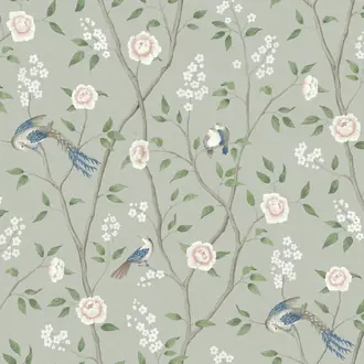Paradise Birds 1903