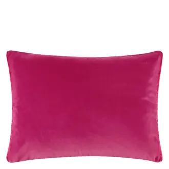 Cassia Fuchsia CCDG0948