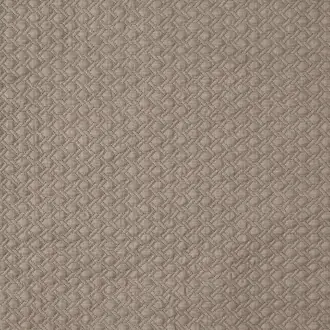 Lazaro 4120-504