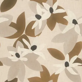 Clematite 19598894